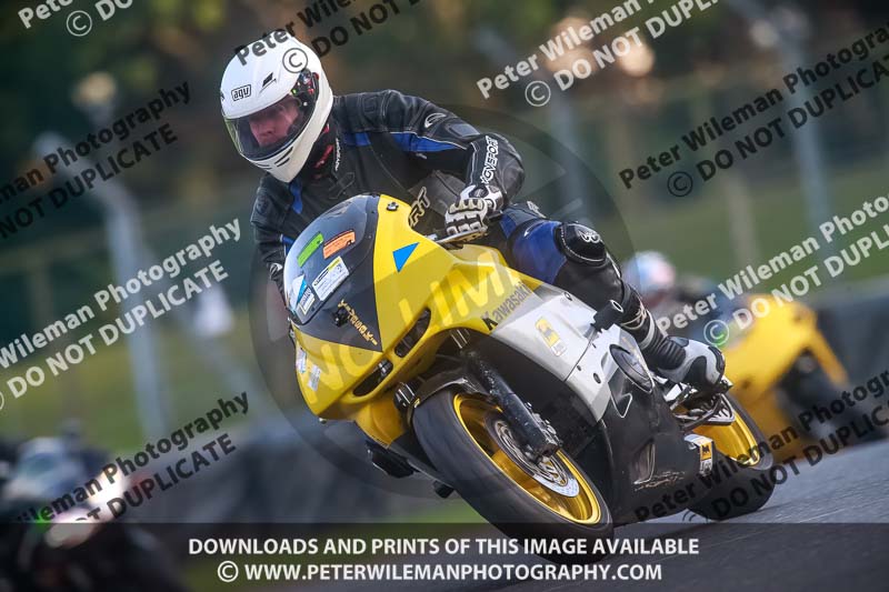 brands hatch photographs;brands no limits trackday;cadwell trackday photographs;enduro digital images;event digital images;eventdigitalimages;no limits trackdays;peter wileman photography;racing digital images;trackday digital images;trackday photos